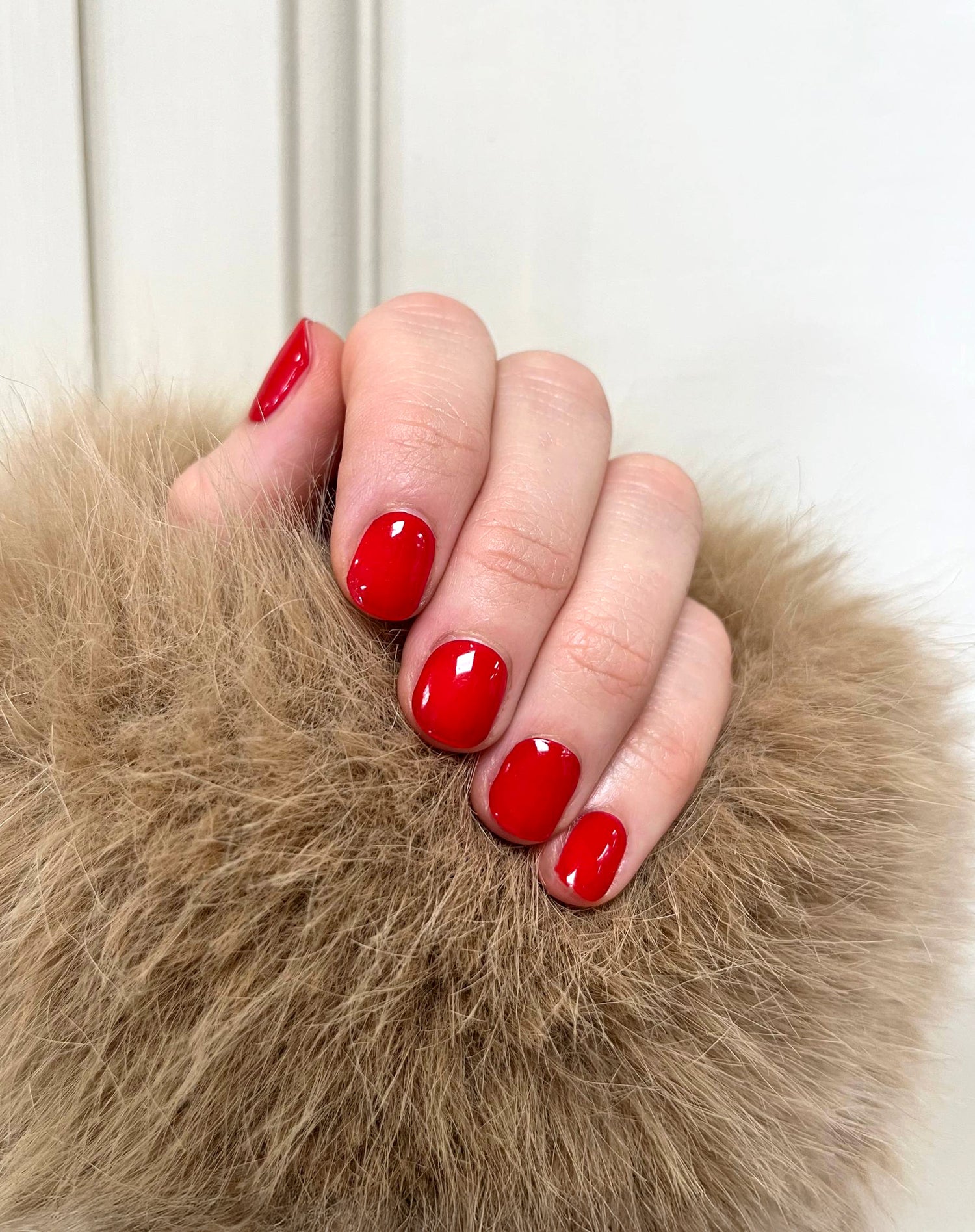 Fiamma UV Gel Strips