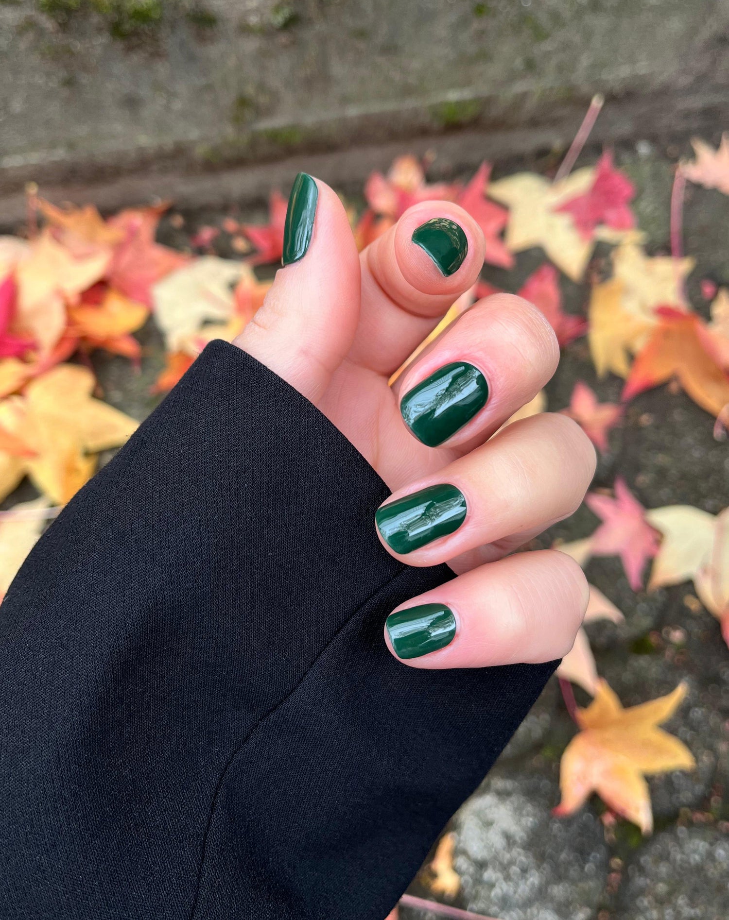 Foresta UV Gel Strips